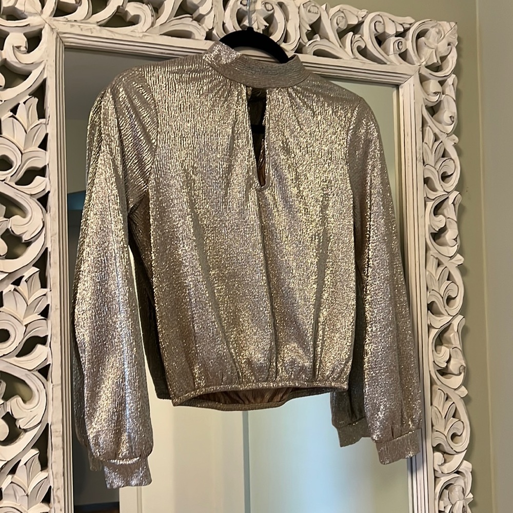 Express metallic crop top